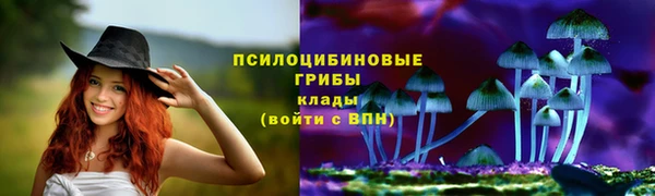 a pvp Заводоуковск