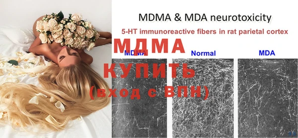 ГАЛЛЮЦИНОГЕННЫЕ ГРИБЫ Зерноград
