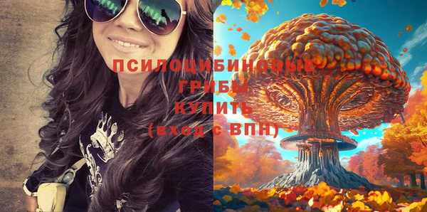 a pvp Заводоуковск