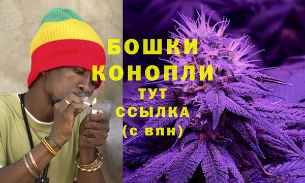 ГАЛЛЮЦИНОГЕННЫЕ ГРИБЫ Зерноград