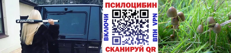 блэк спрут tor  Иннополис  Псилоцибиновые грибы мухоморы 